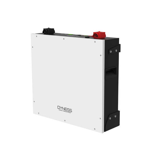 Dyness LV DL5.0C 5,12 kWh energijos kaupiklis